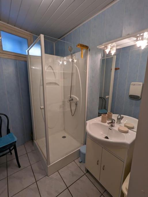 a bathroom with a shower and a sink at Gîte Elisa in Vals-les-Bains