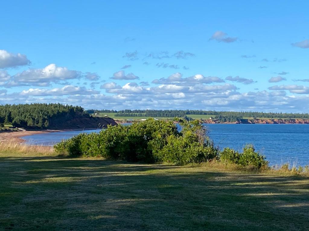 a view of a body of water with grass and trees at The Barn at Spry Point in Little Pond