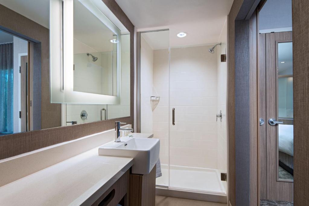 SpringHill Suites by Marriott Austin North photo
