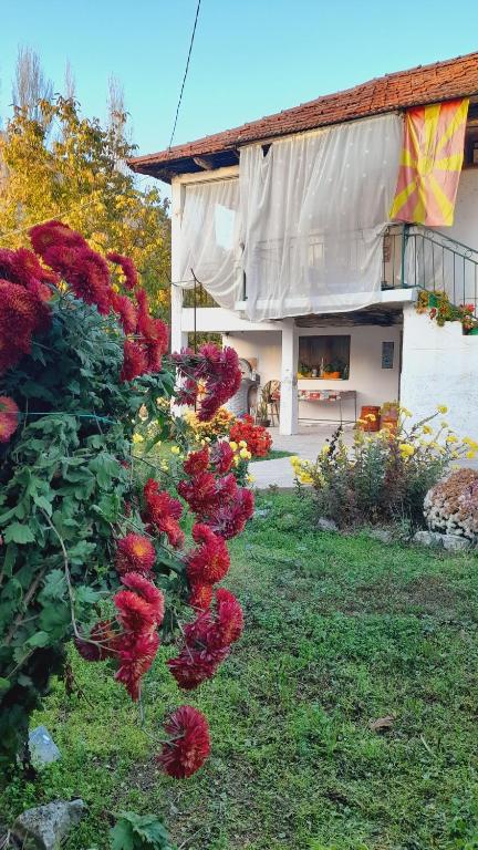 un grupo de flores rojas delante de una casa en Sonja's House of Sun, Bislim Gorge, Riverview & yard, en Kumanovo