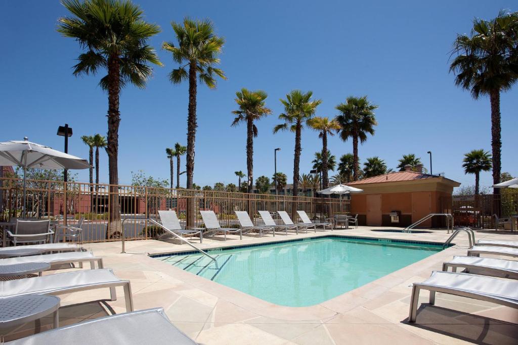 a swimming pool with lounge chairs and palm trees at SpringHill Suites Los Angeles LAX/Manhattan Beach in Hawthorne