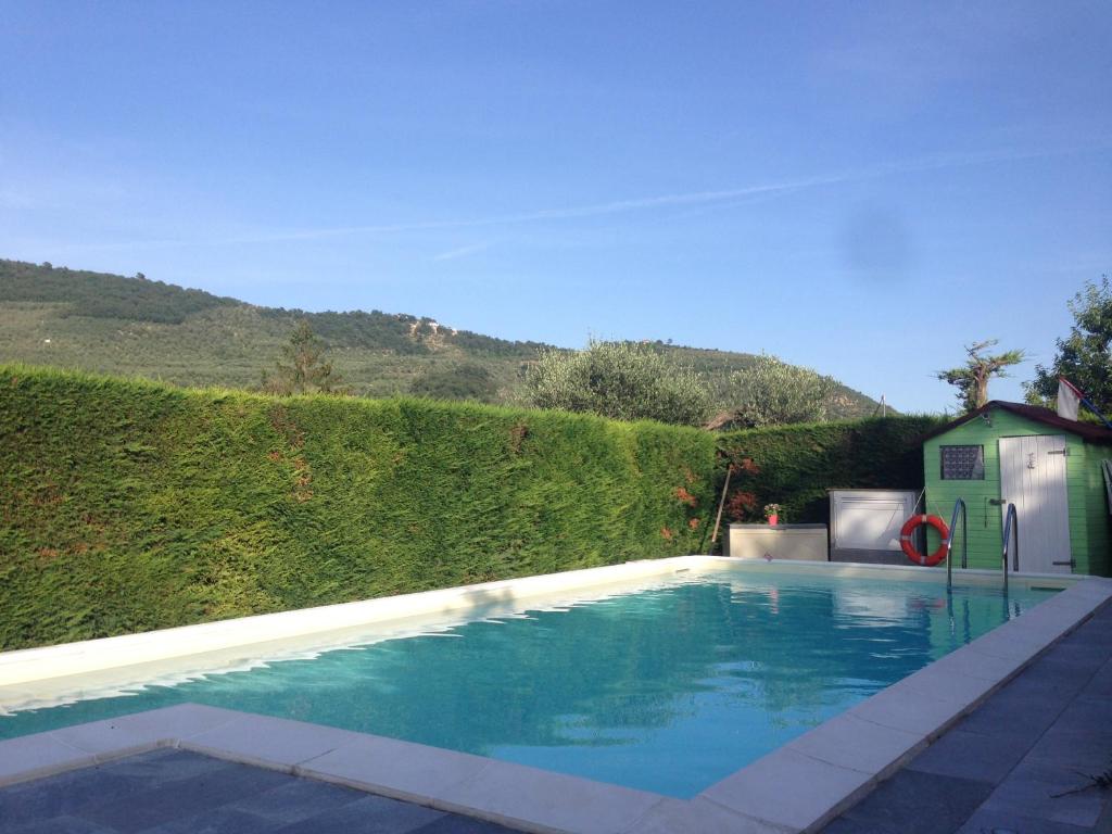 a swimming pool in front of a green hedge at Casetta n.2 con piscina in Sarola