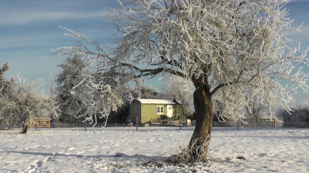 un árbol en un campo cubierto de nieve con una casa en the abberton shepherds hut, en Evesham