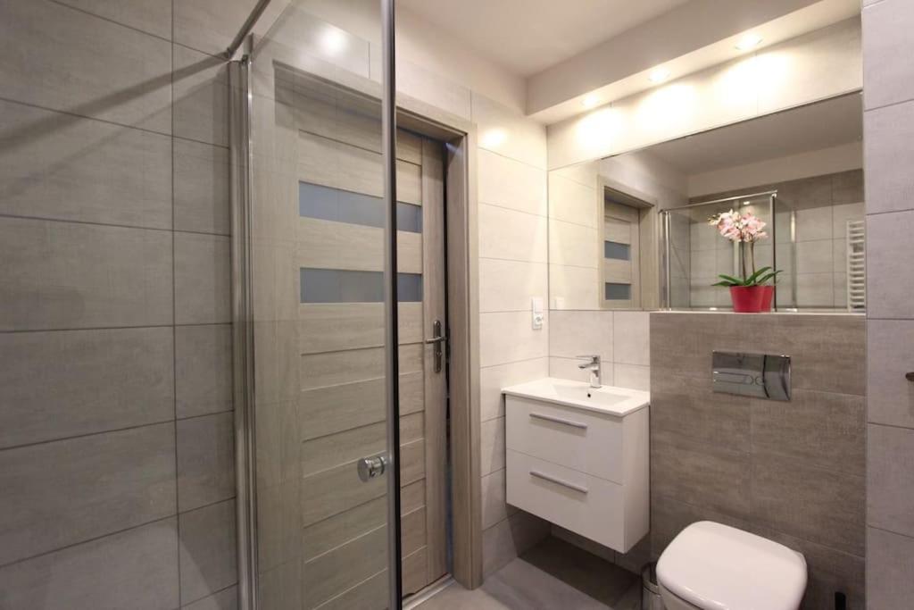 a bathroom with a shower and a toilet and a sink at Studio apartment with sofa in Krakow