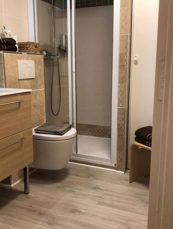 W łazience znajduje się prysznic, toaleta i umywalka. w obiekcie Côte d'Azur joli studio 50m plage, climatisation , parking. w mieście Villeneuve-Loubet