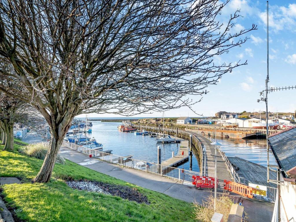 a tree next to a river with boats in it at Harbour View House in Girvan