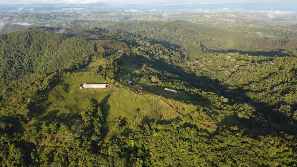una vista aérea de una colina boscosa con una casa en ella en Reserva La Rivera, en Salento