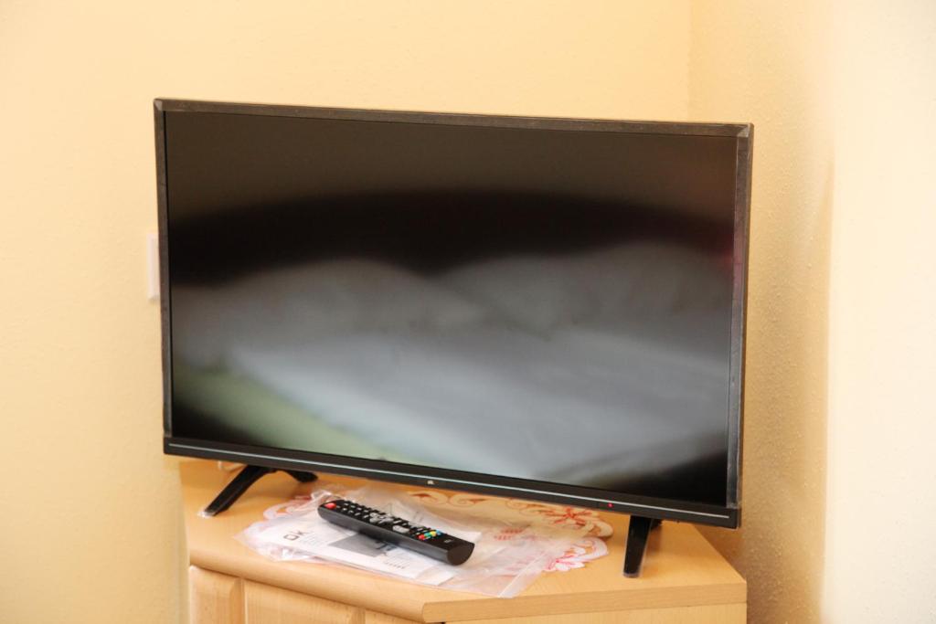 TV a/nebo společenská místnost v ubytování Pension Stadt Grein