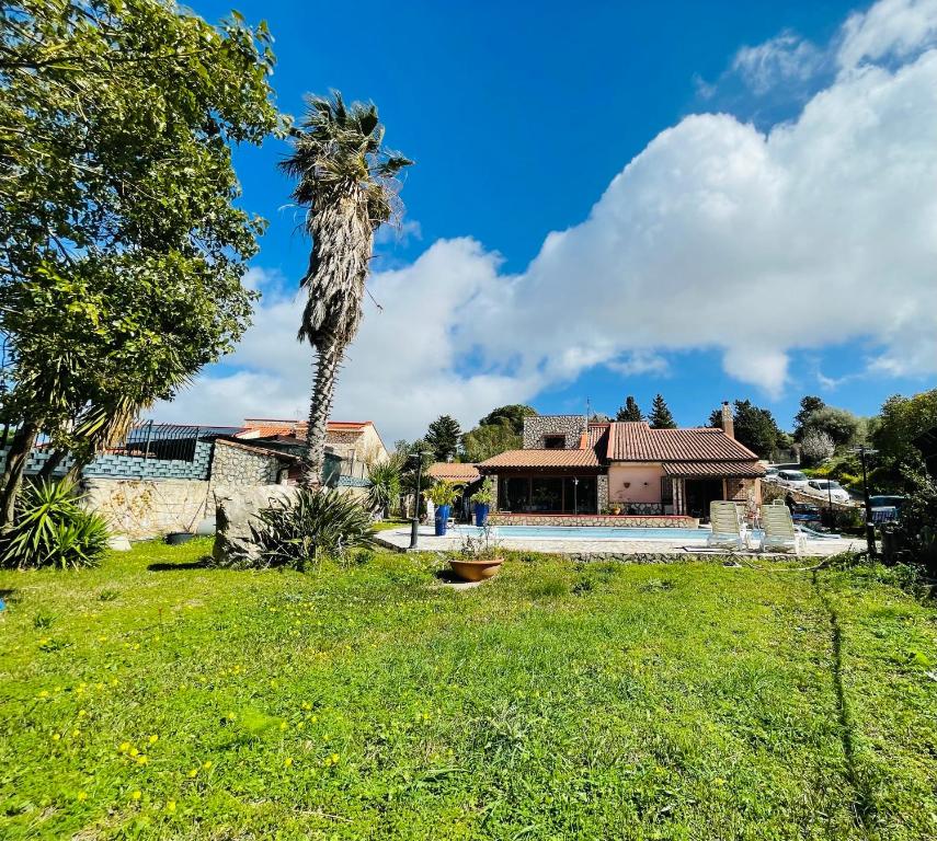 eine Palme im Hof eines Hauses in der Unterkunft Villa Inserra Deluxe in Palermo