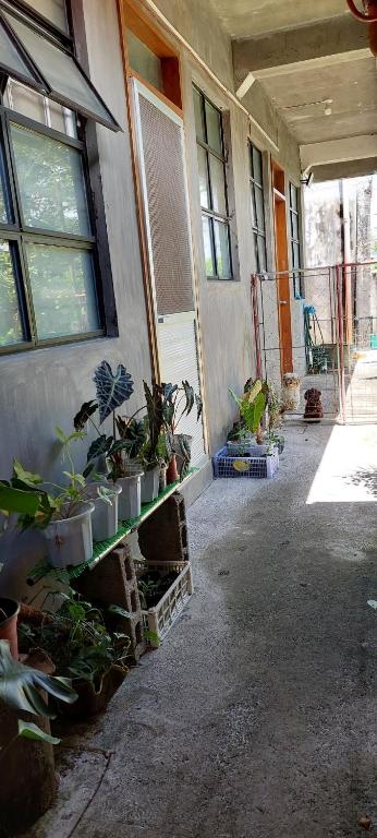 una stanza con un mucchio di piante in vaso accanto a un edificio di GGGO RESIDENCES, Studio 103, pet friendly a Sorsogon