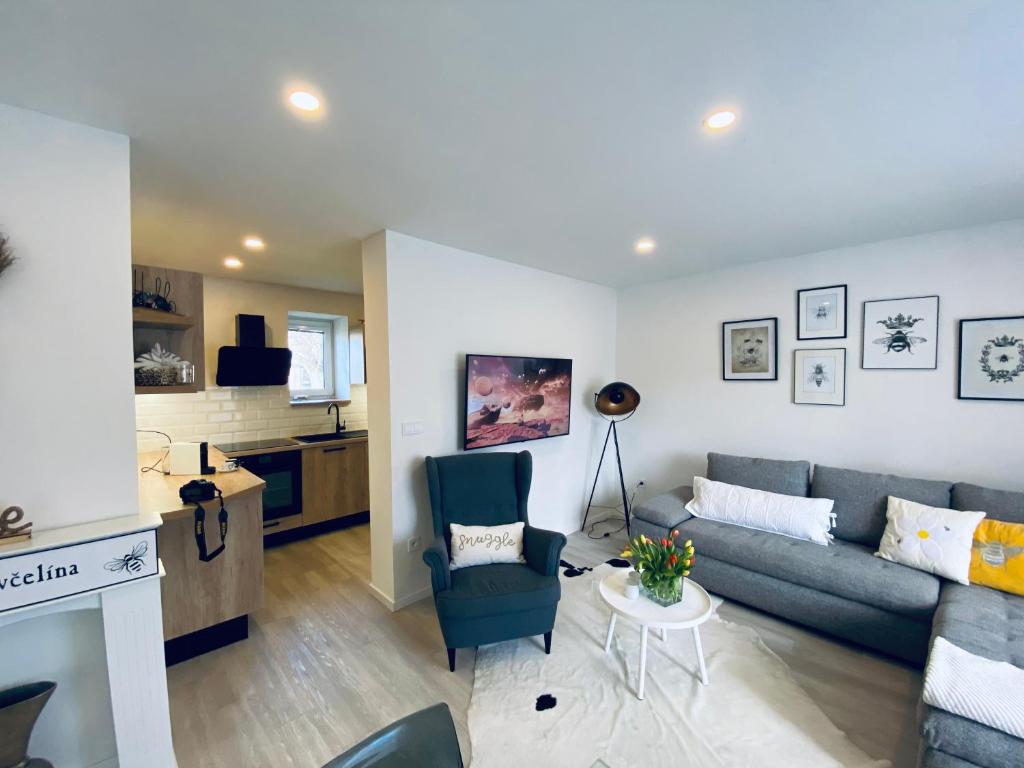 Kuchyň nebo kuchyňský kout v ubytování Apartmán U včelína