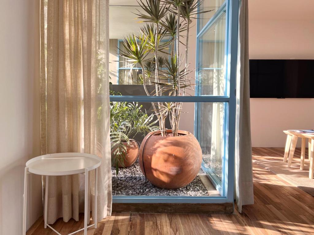 una habitación con una ventana con plantas. en Xolo stays en Ciudad de México
