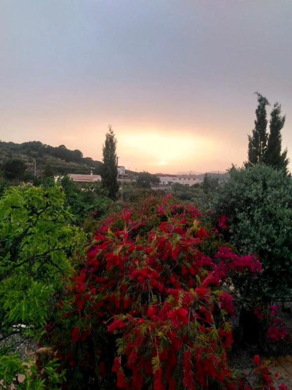 Lavender Lodge Spanien