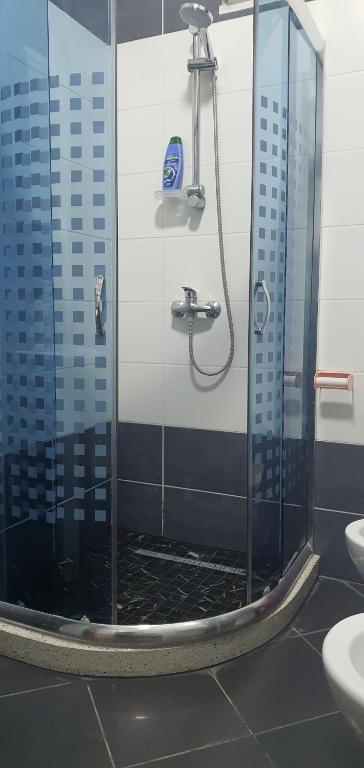 uma casa de banho com um chuveiro e uma cabina de vidro em Sixth Apartment em Shkodër