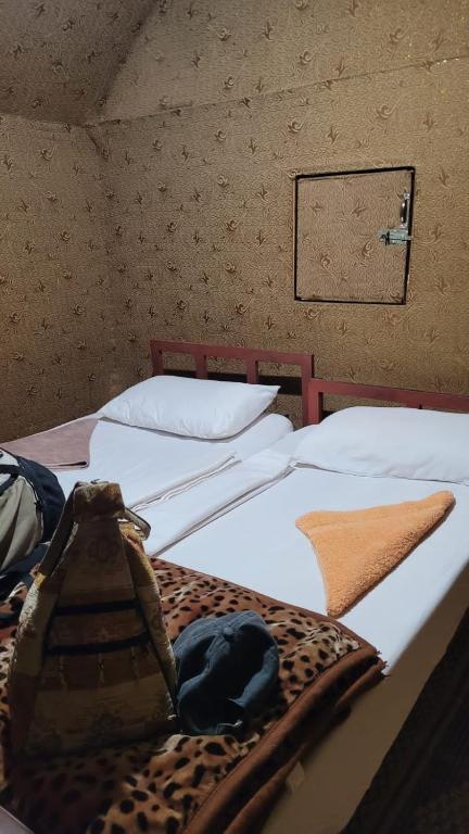 Postel nebo postele na pokoji v ubytování Desert Dream Camp