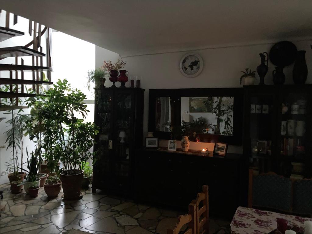 Fotografie z fotogalerie ubytování Apartman-Donau Tát v destinaci Tát