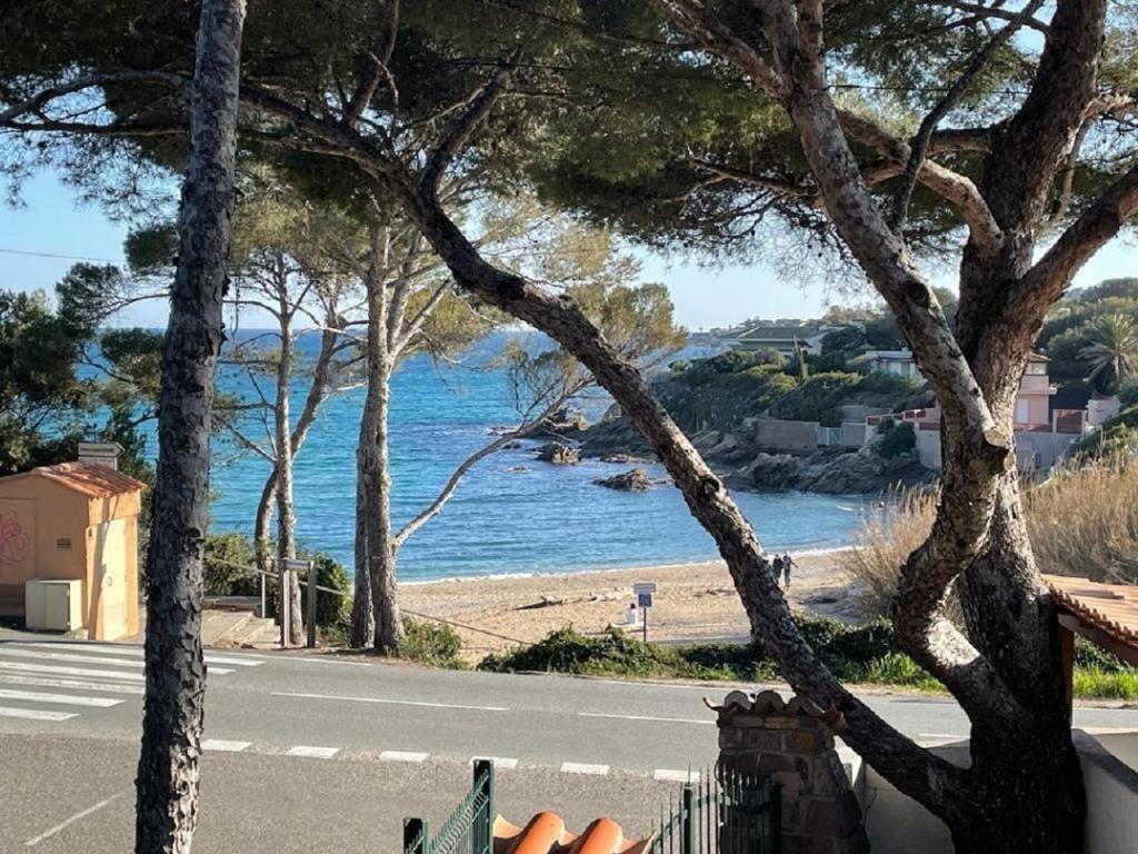 - une vue sur la plage avec des arbres et l'océan dans l'établissement Entre ST-RAPHAEL et ST-TROPEZ. Studio pieds dans l'eau, à partir de 600 Euros/semaine., à Saint-Aygulf