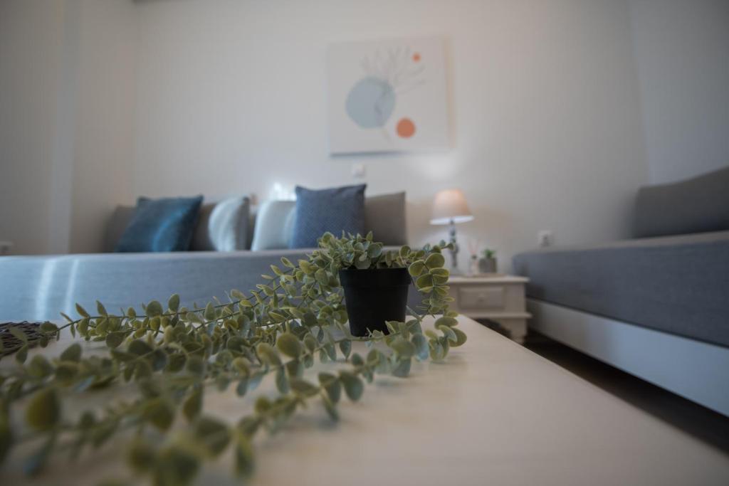 a living room with a table with a plant on it at 4k GEM in Ierapetra