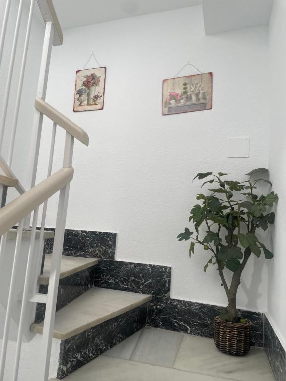 Fotografia z galérie ubytovania Apartamento Plumaria v destinácii Málaga