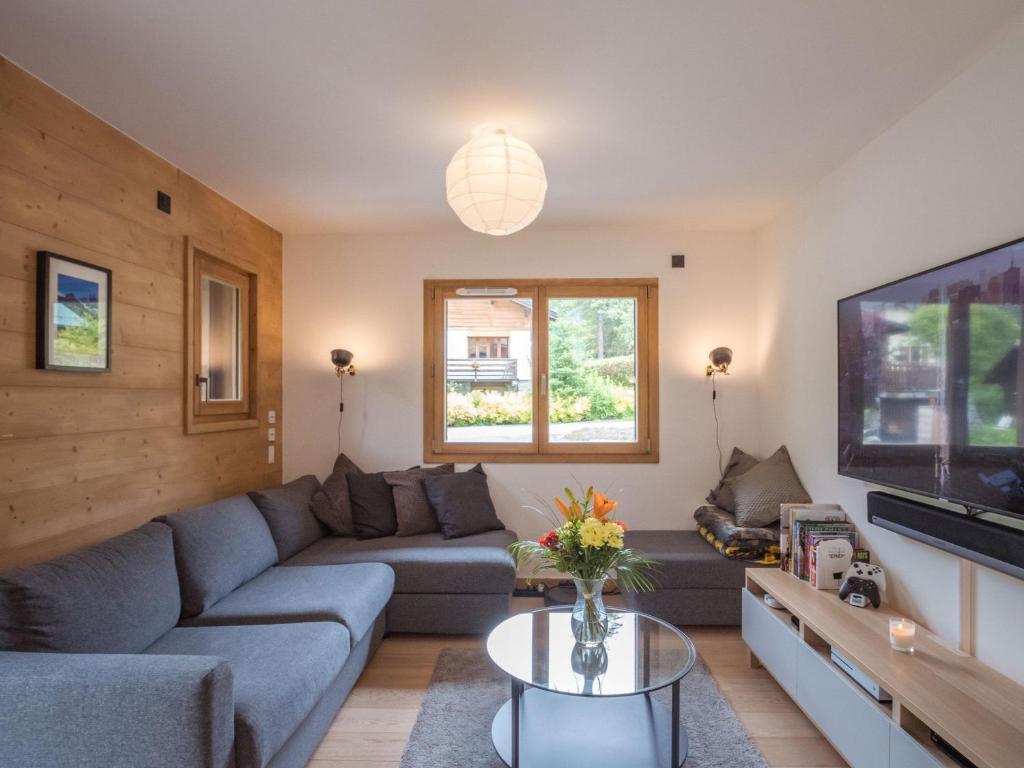 salon z kanapą i telewizorem w obiekcie Bel appart 4* avec jardin privé, à 350m de la Flégère, WIFI, PARKING - FR-1-343-213 w Chamonix-Mont-Blanc
