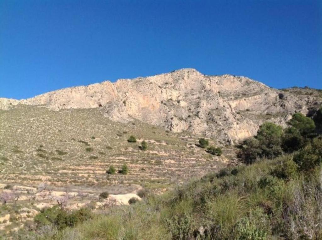 Traditional Spanish cave house in Alguena, Algueña – Updated ...