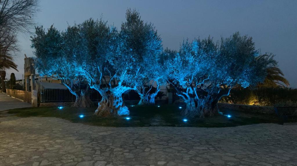 Giardino di Appartamento Aria di Mare