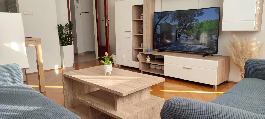 TV a/nebo společenská místnost v ubytování Nikolic Apartment