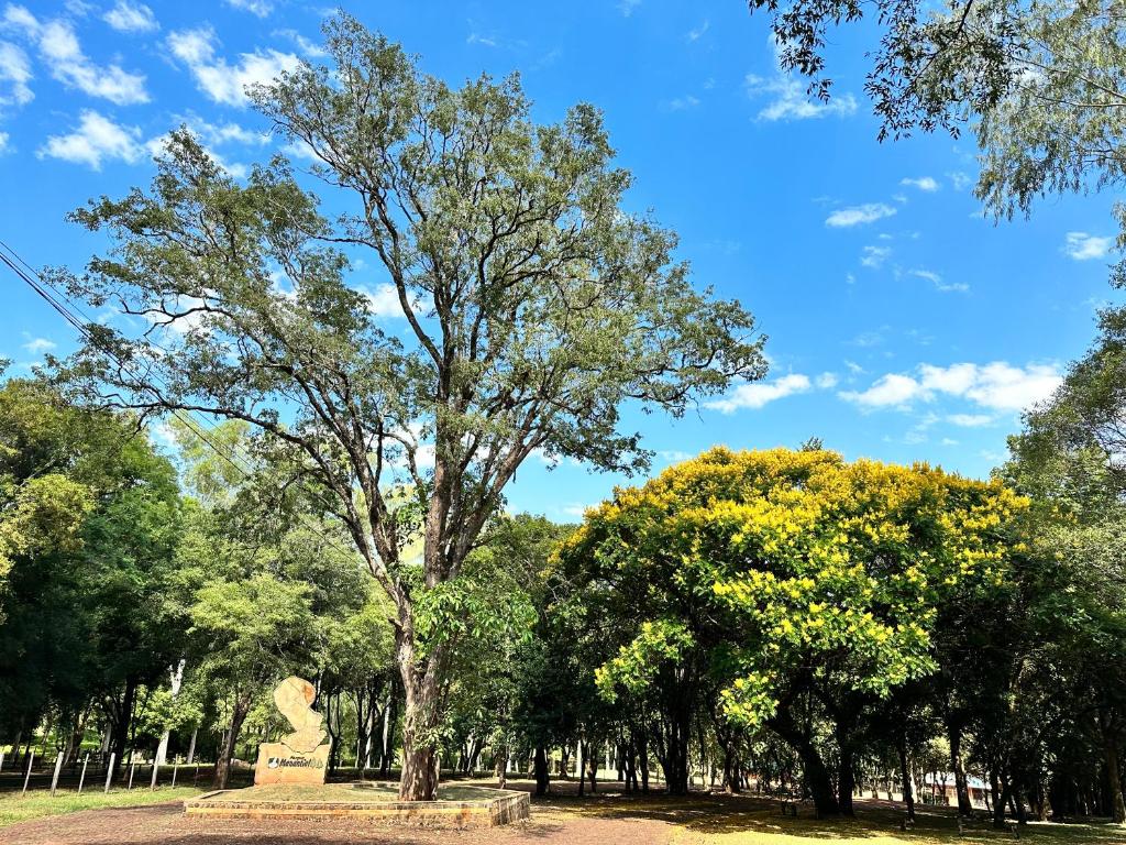 PARQUE MANANTIAL في Hohenau: حديقة فيها اشجار وتمثال في الوسط