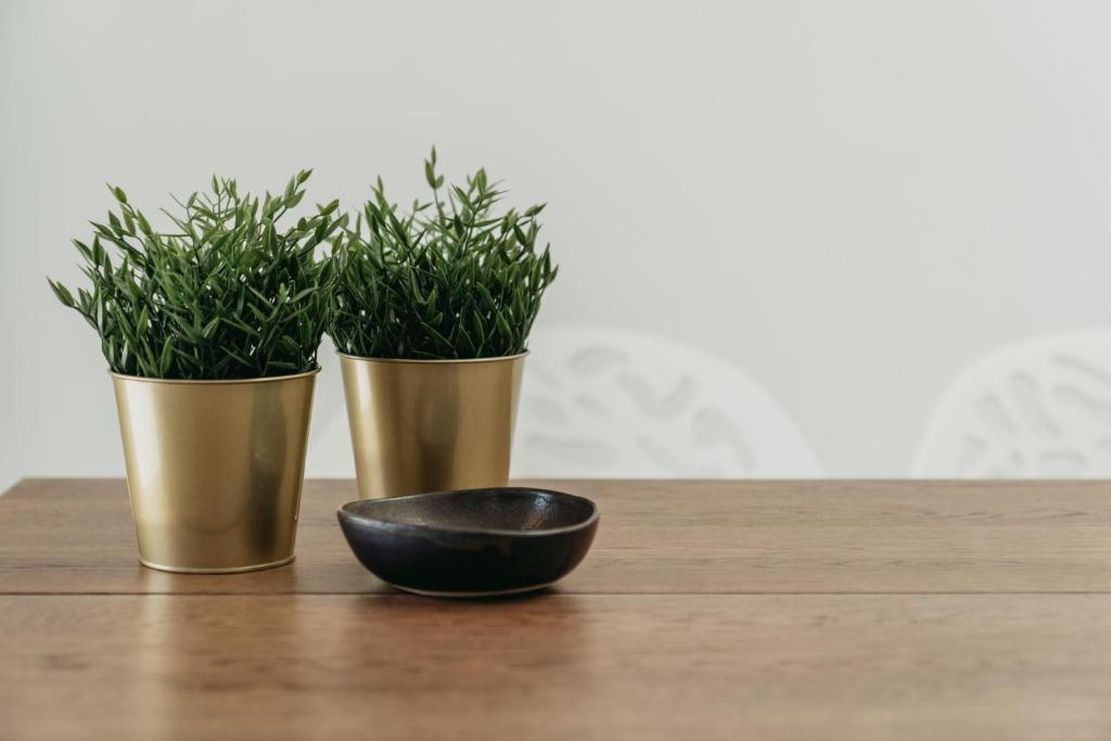 two gold potted plants and a bowl on a table at Blue Sea Villa in Serifos Chora