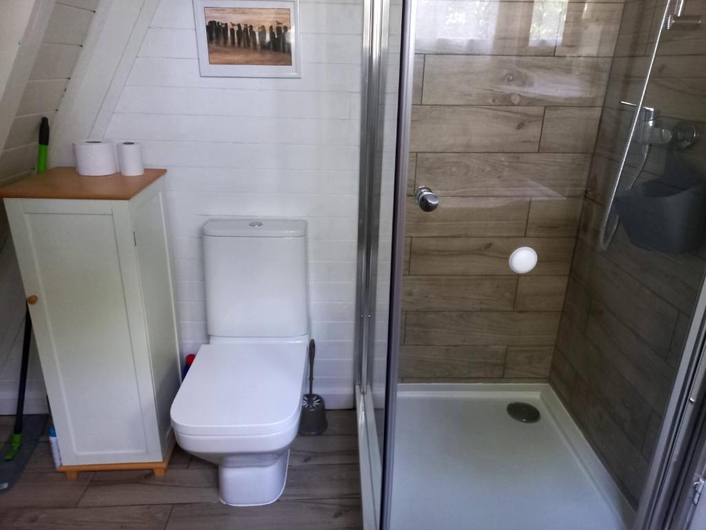 Kúpeľňa v ubytovaní Domek letniskowy Pirat