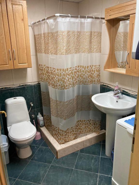 Koupelna v ubytování Apartman Aischa