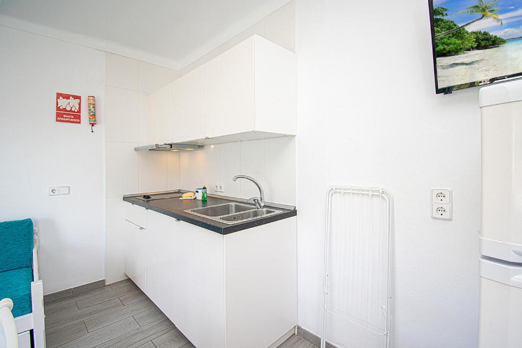 Kuchyňa alebo kuchynka v ubytovaní Apartamentos Falcó
