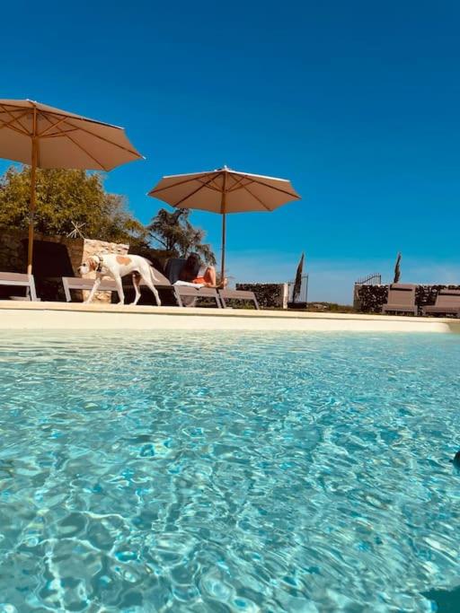 Bazén v ubytování Dôme insolite Cèdre jacuzzi et petits déjeuners inclus nebo v jeho okolí