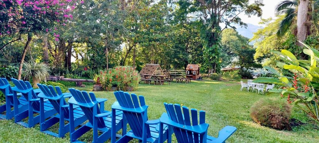 une rangée de chaises bleues assises dans une cour dans l'établissement Hotel Hacienda San Lucas, à Copan Ruinas