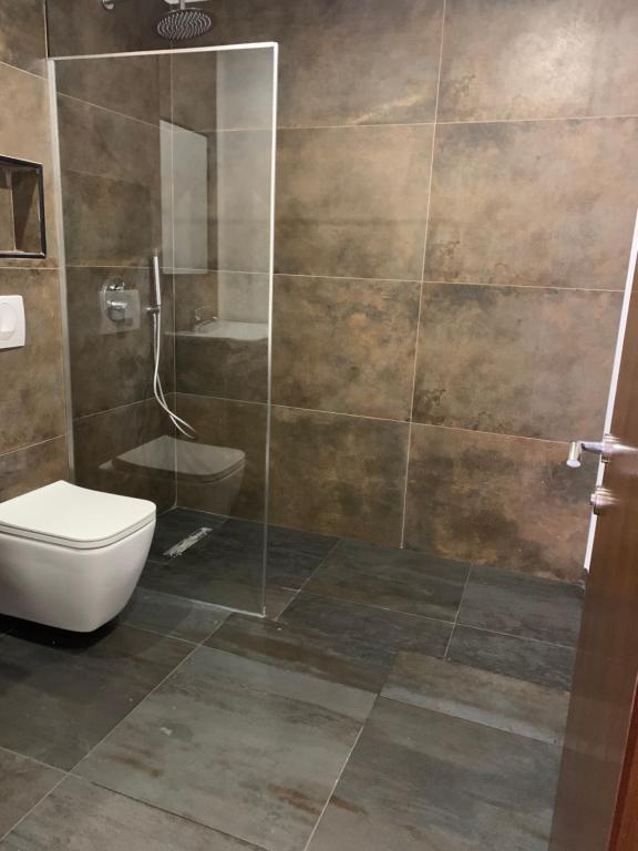 La salle de bains est pourvue de toilettes et d'une douche en verre. dans l'établissement Vladimir Estate Hotel, à Gjirokastër