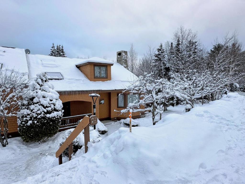 ein schneebedecktes Haus mit Bäumen und Sträuchern in der Unterkunft FC17 Stylishly renovated Forest Cottage walk to Bretton Woods ski trails wifi cable ping pong in Carroll