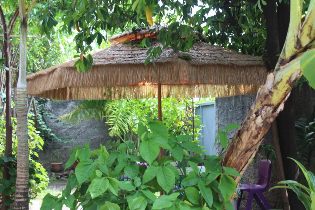a bird perched on top of a thatch roof at HIME LODGE in Papeete