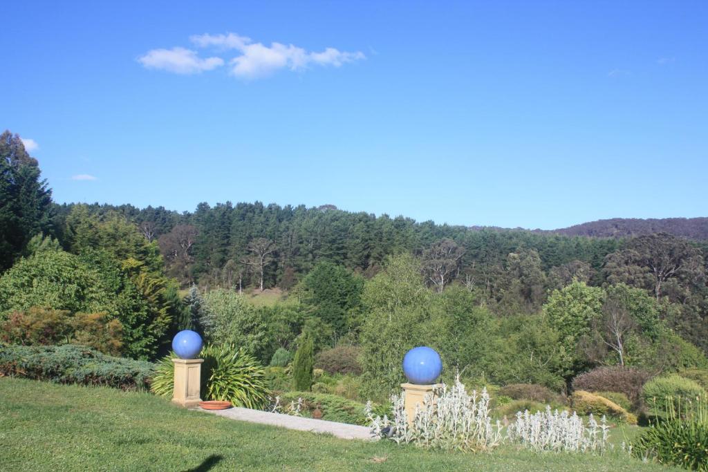 a view of a garden with blue domes at Oaklands in Little Hartley