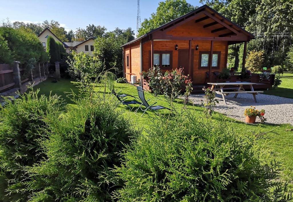 Cabaña de madera pequeña en un patio con arbustos en Family Summer House in Jurmala, en Jūrmala