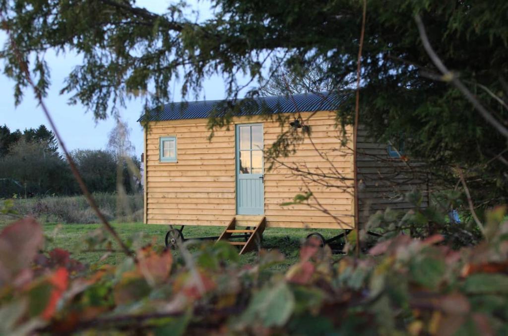 a small wooden cabin with a blue door at The Hut at High Street Farm in Sudbury