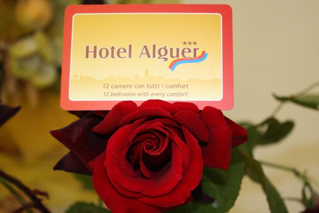 une rose rouge avec un panneau de conseiller d'hôtel en haut. dans l'établissement Hotel Alguer, à Alghero