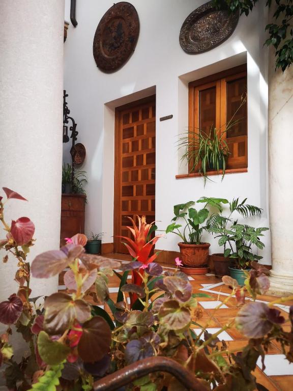 
Double Room with Patio - Ground Floor
