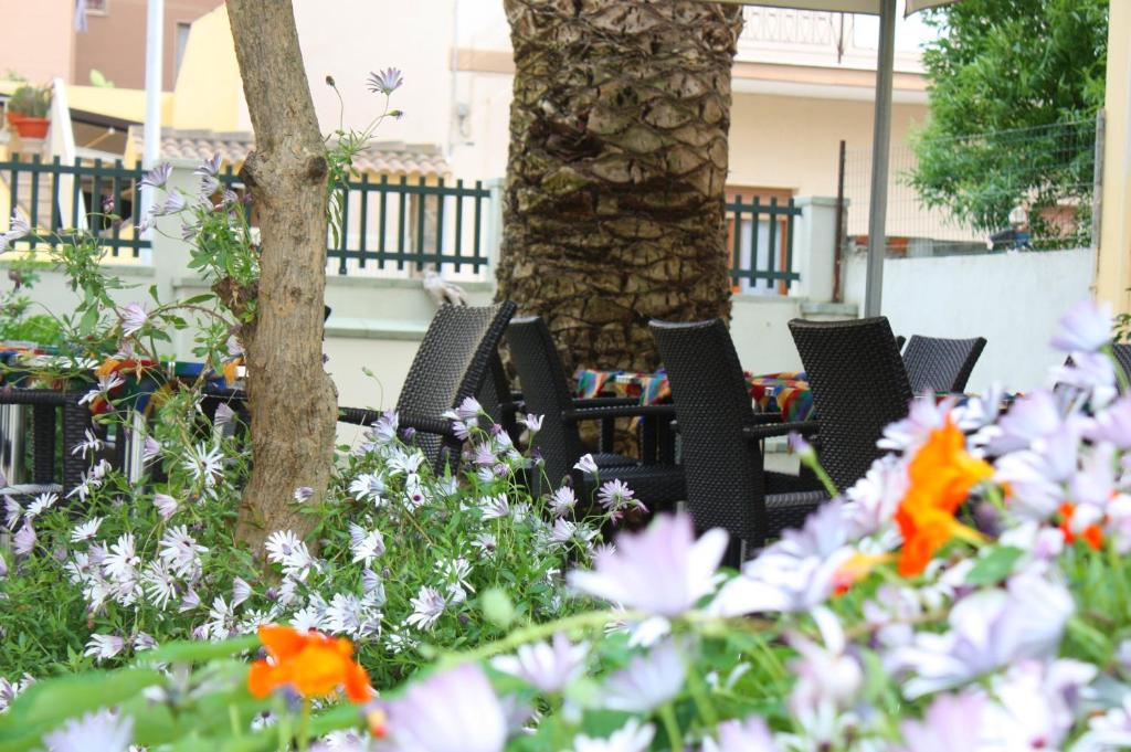Zahrada ubytování Hotel Alguer