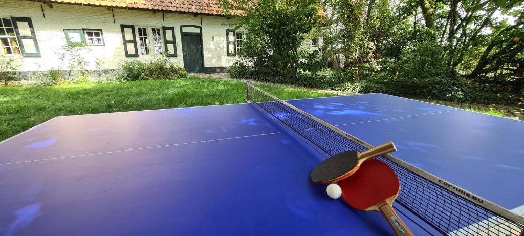 Borðtennisaðstaða á Hotel Landhuis 't Wilgenerf eða í nágrenninu
