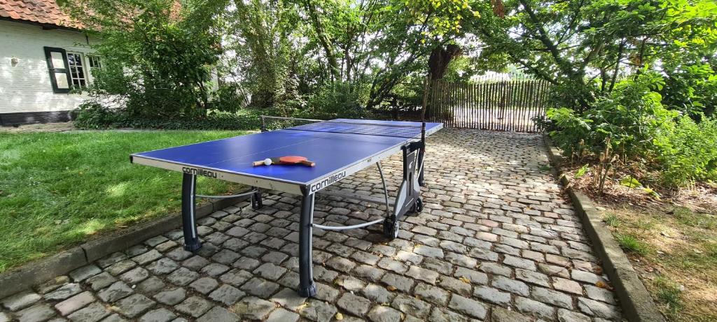 Borðtennisaðstaða á Hotel Landhuis 't Wilgenerf eða í nágrenninu