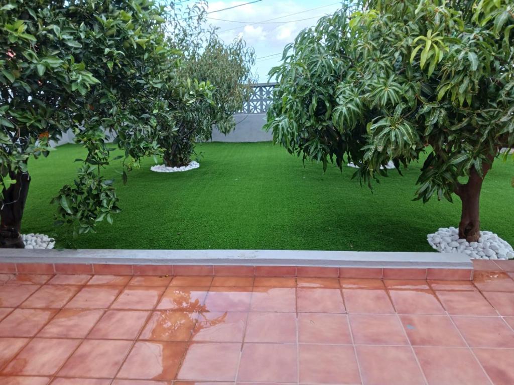 Zahrada ubytování Villa Rosa