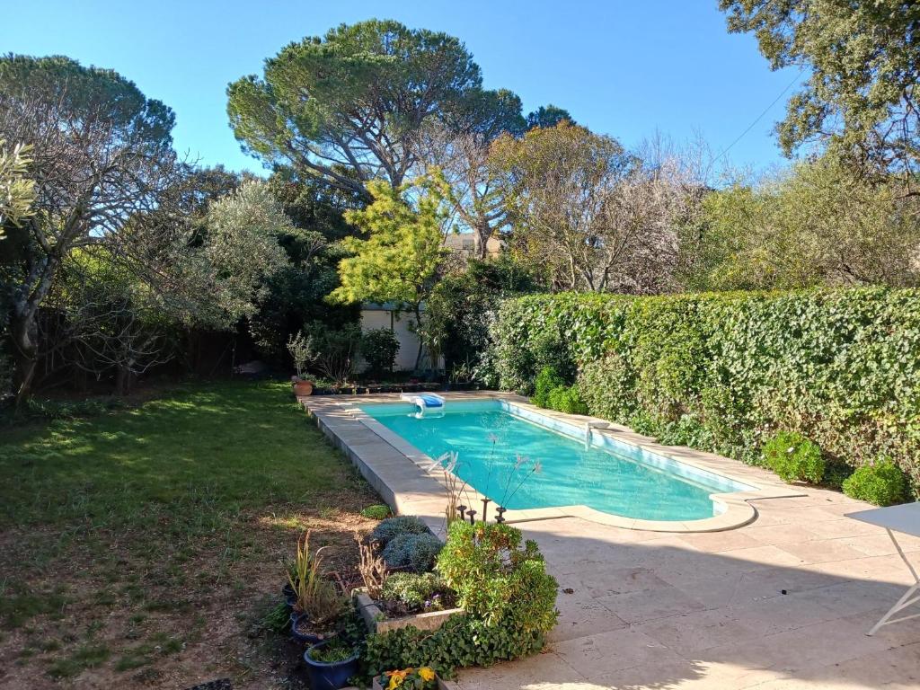 uma piscina num quintal com uma sebe em studio charmant et calme villeneuve les avignon entrée et cour indépendantes climatisation piscine parking em Villeneuve-lès-Avignon
