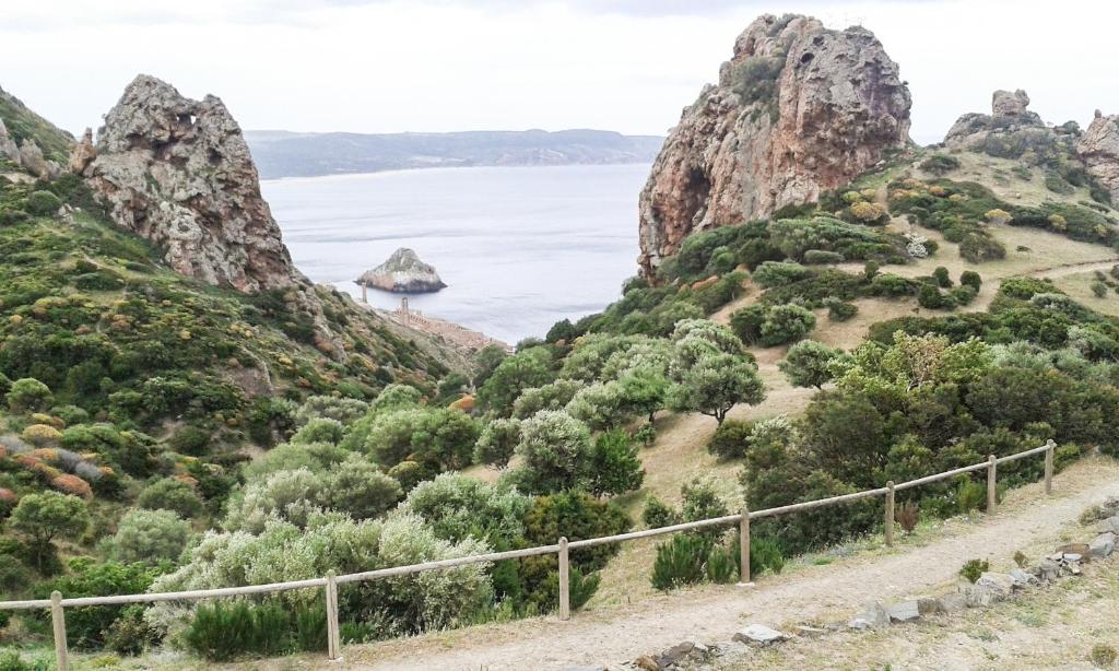 La Terrazza Fiorita a Nebida - Incantevole Casa con Piscina