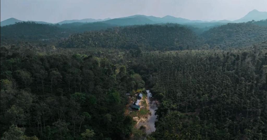 an aerial view of a river in a forest at Byrahalli Bliss riverside camping in Sakleshpur