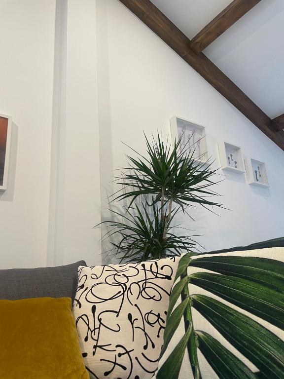 a living room with a couch and two potted plants at Marujita Vilanova, alojamiento singular in Villanueva de Arosa